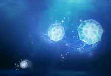 jellyfish digital art artwork 1280x800 wallpaper Art HD Wallpaper